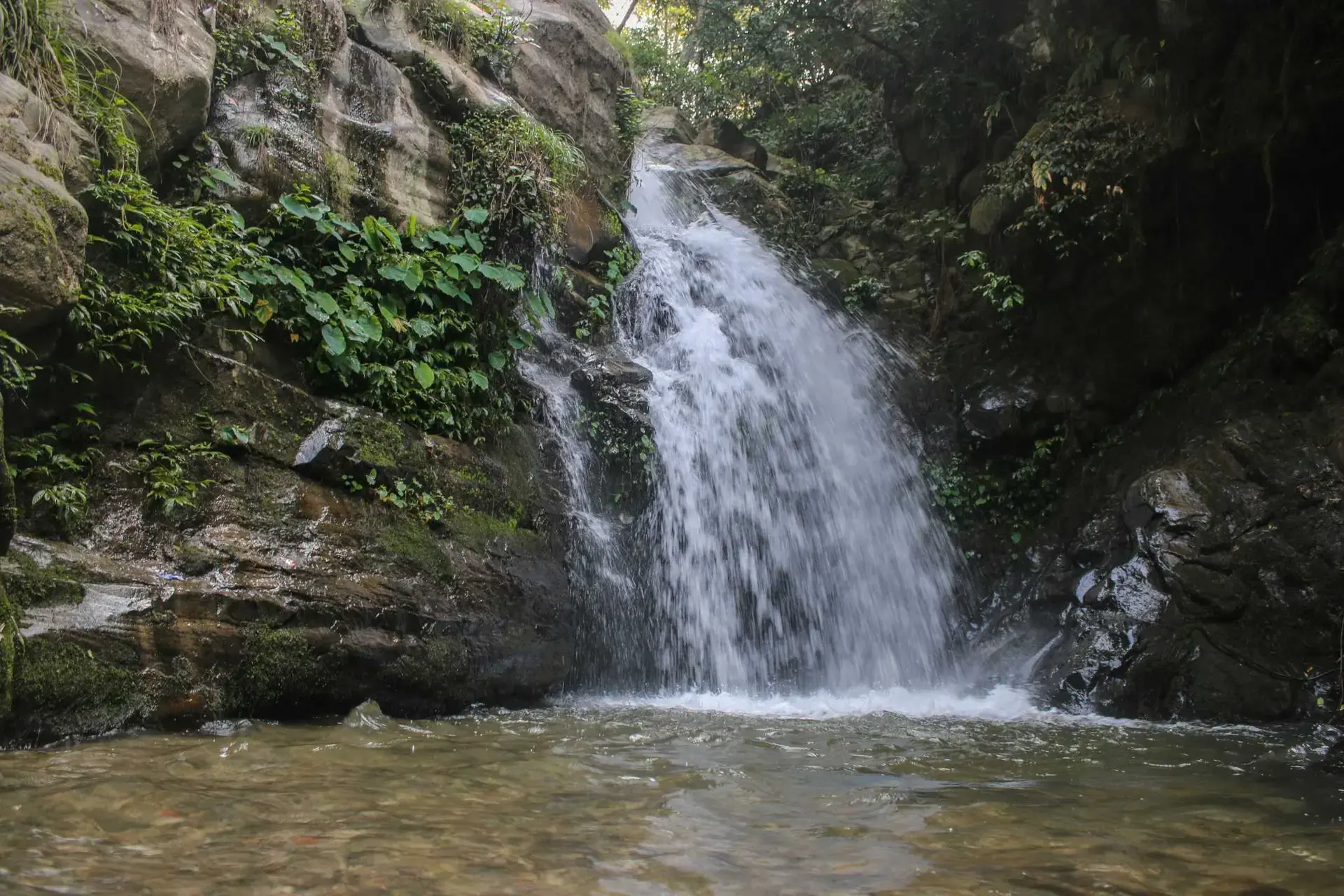 Nagarkot Community Homestay - photo 1